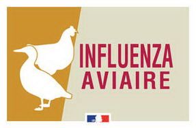 un nouveau dsitributeur est en service à la boulangerie